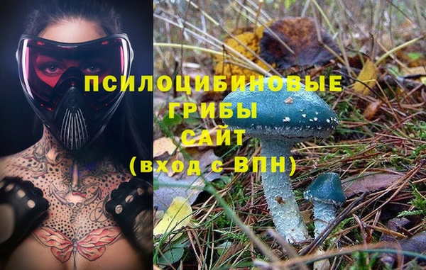 PSILOCYBIN Новозыбков