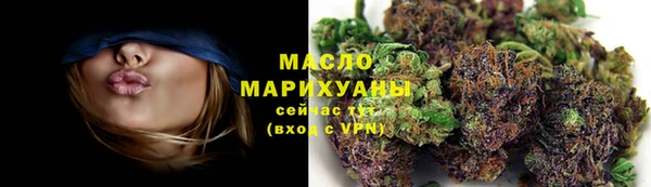 твердый Гатчина