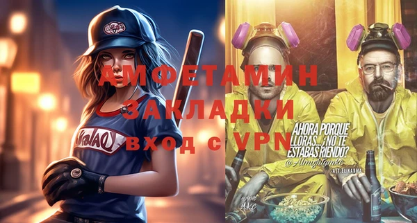 твердый Гатчина