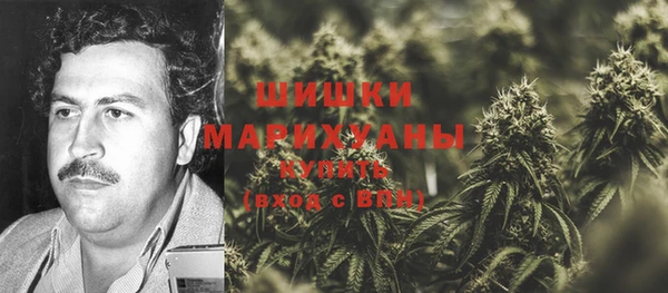 гидра Нея